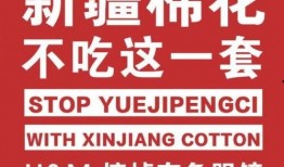 新疆网友爆料新闻头条,神秘事件引发热议，真相即将揭晓！