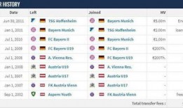 德国转会市场最新爆料消息,球星转会动态揭秘！